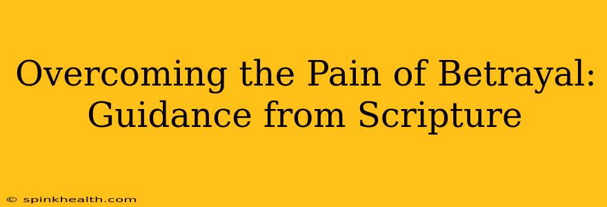 Overcoming the Pain of Betrayal: Guidance from Scripture