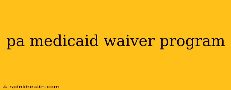 pa medicaid waiver program