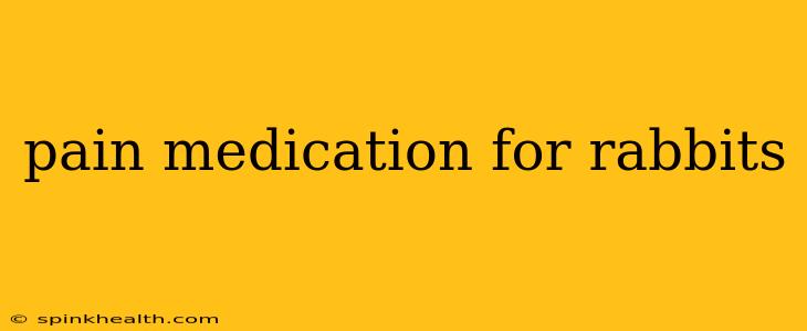 pain medication for rabbits