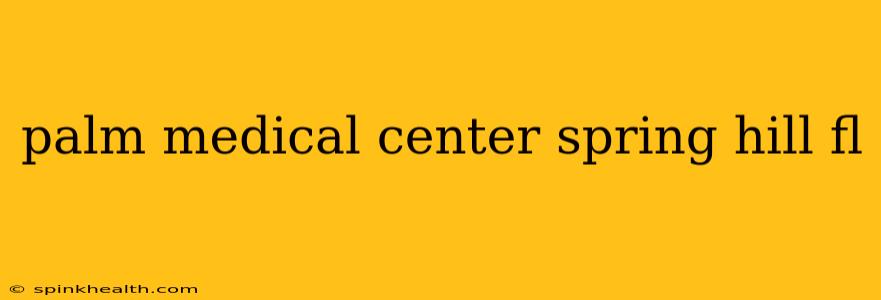 palm medical center spring hill fl