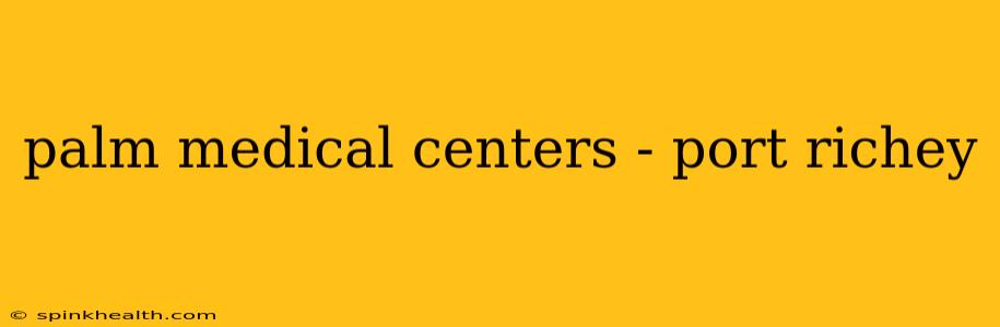 palm medical centers - port richey