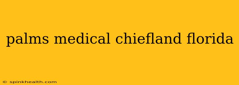 palms medical chiefland florida
