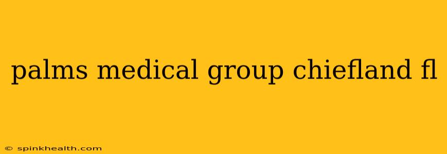 palms medical group chiefland fl