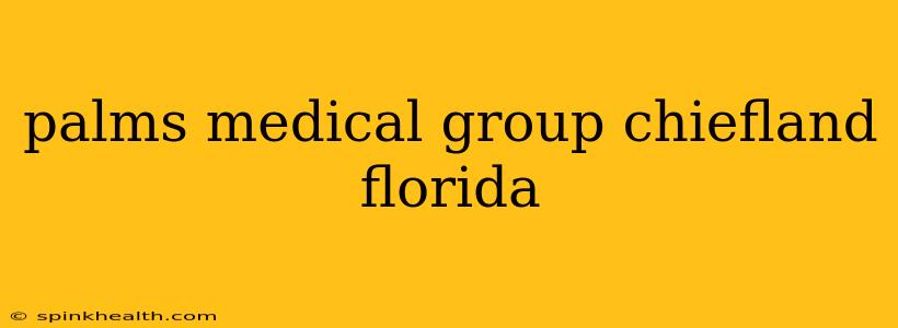 palms medical group chiefland florida