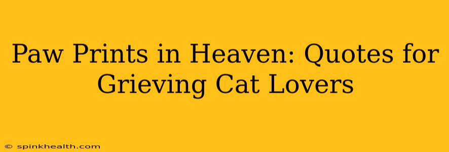 Paw Prints in Heaven: Quotes for Grieving Cat Lovers