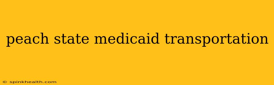 peach state medicaid transportation
