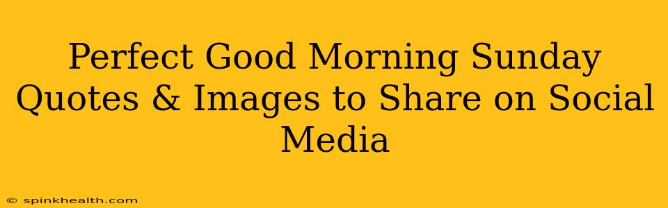 Perfect Good Morning Sunday Quotes & Images to Share on Social Media