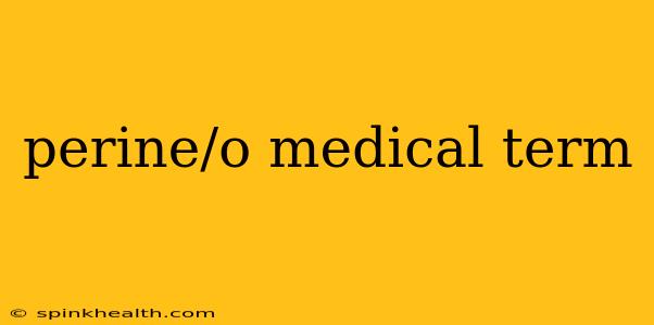 perine/o medical term