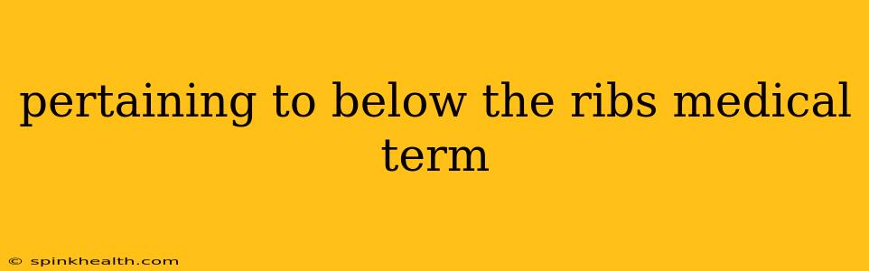 pertaining to below the ribs medical term