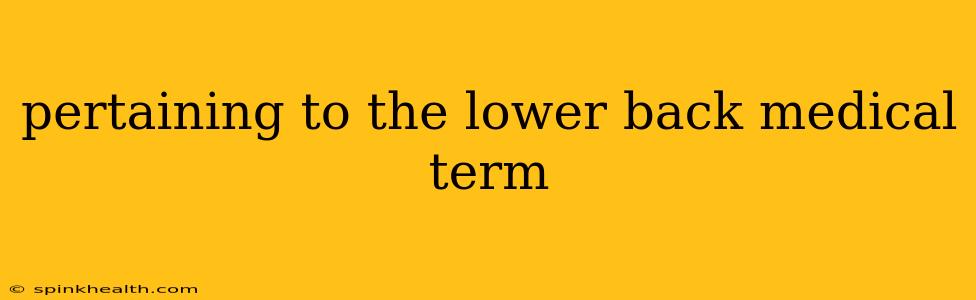 pertaining to the lower back medical term