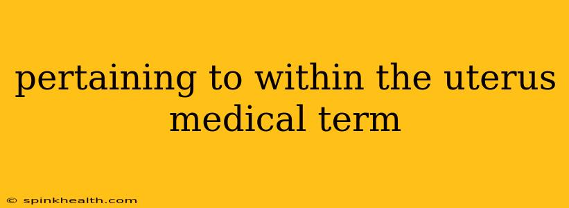 pertaining to within the uterus medical term