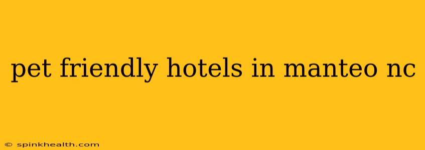 pet friendly hotels in manteo nc