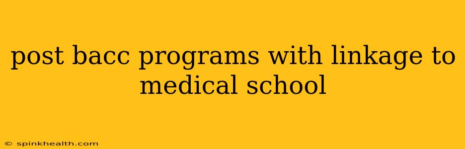post bacc programs with linkage to medical school