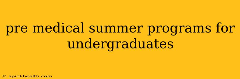 pre medical summer programs for undergraduates