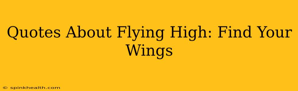 Quotes About Flying High: Find Your Wings