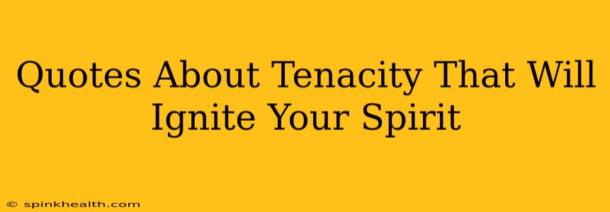Quotes About Tenacity That Will Ignite Your Spirit