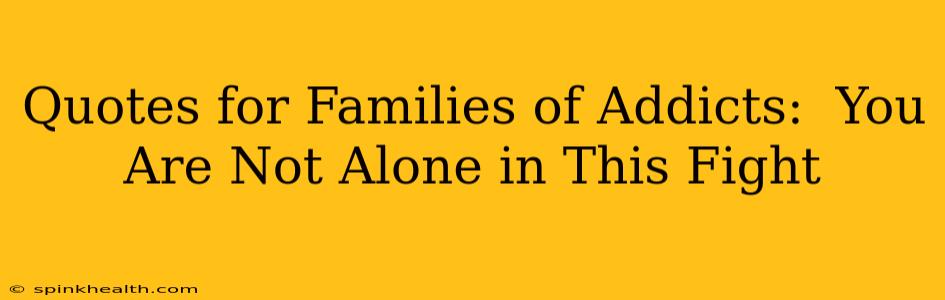 Quotes for Families of Addicts:  You Are Not Alone in This Fight