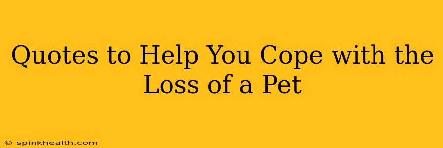 Quotes to Help You Cope with the Loss of a Pet