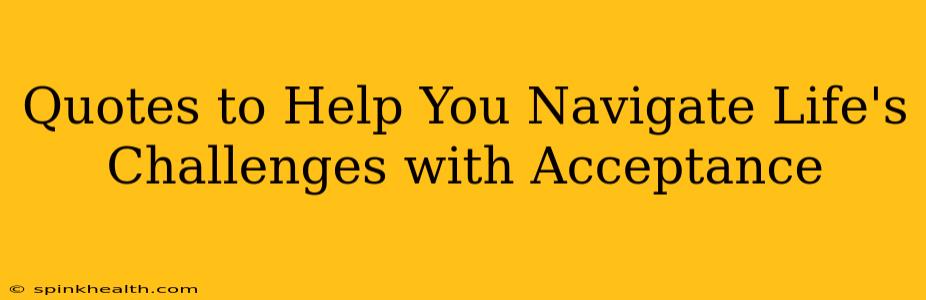Quotes to Help You Navigate Life's Challenges with Acceptance