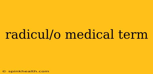 radicul/o medical term