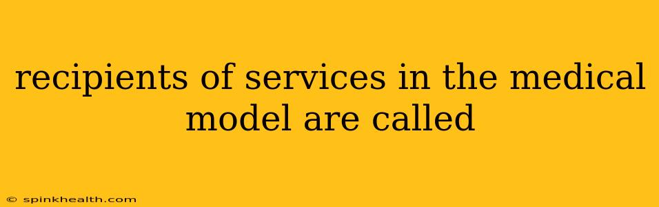 recipients of services in the medical model are called