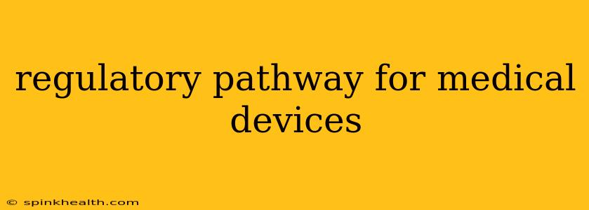 regulatory pathway for medical devices