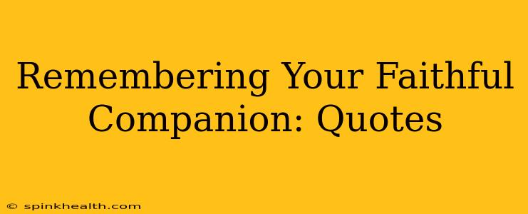 Remembering Your Faithful Companion: Quotes