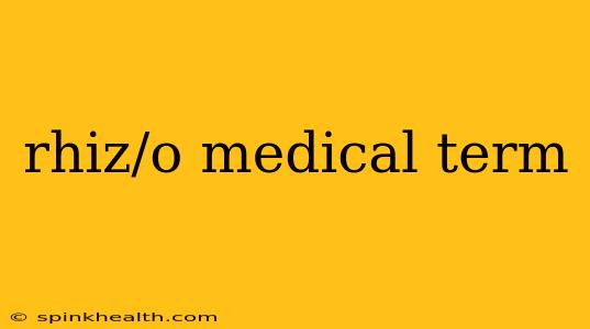 rhiz/o medical term