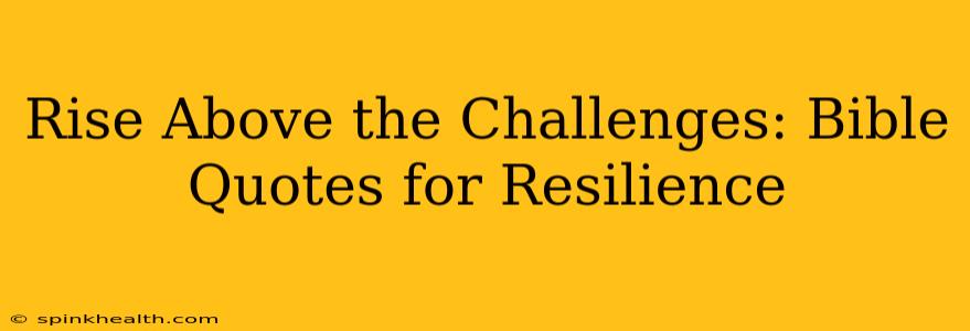 Rise Above the Challenges: Bible Quotes for Resilience
