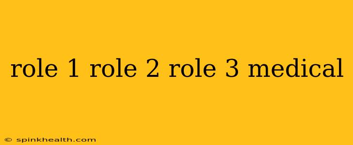 role 1 role 2 role 3 medical