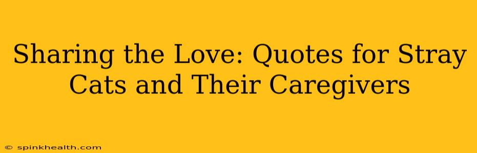 Sharing the Love: Quotes for Stray Cats and Their Caregivers