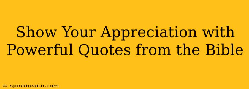 Show Your Appreciation with Powerful Quotes from the Bible