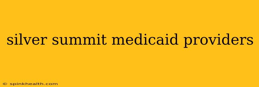 silver summit medicaid providers