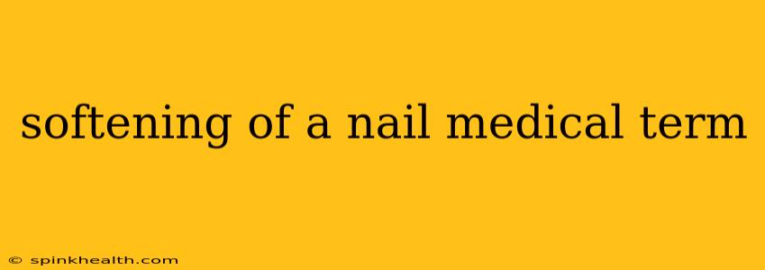 softening of a nail medical term