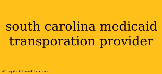 south carolina medicaid transporation provider