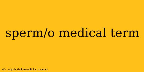sperm/o medical term