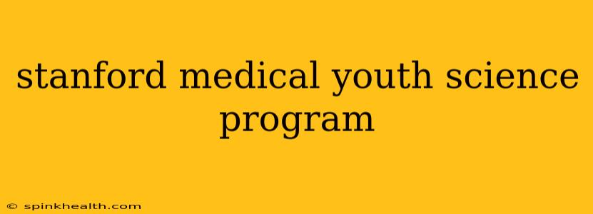 stanford medical youth science program