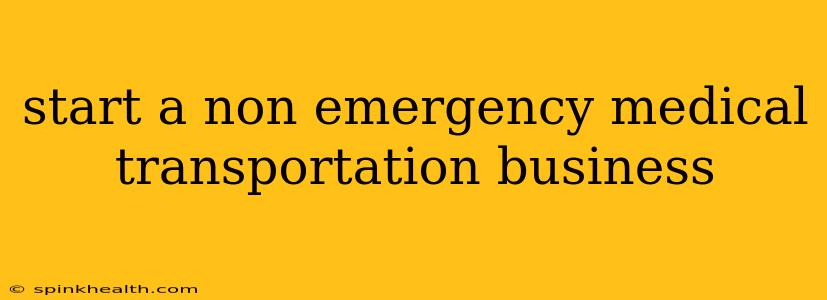 start a non emergency medical transportation business