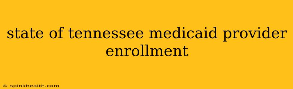 state of tennessee medicaid provider enrollment