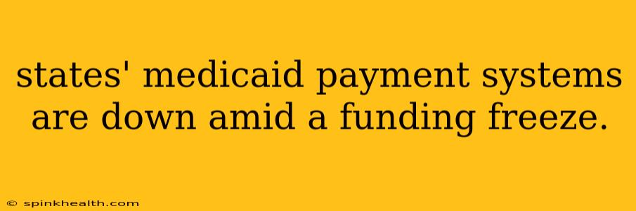 states' medicaid payment systems are down amid a funding freeze.
