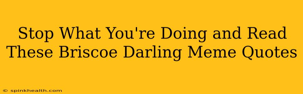 Stop What You're Doing and Read These Briscoe Darling Meme Quotes