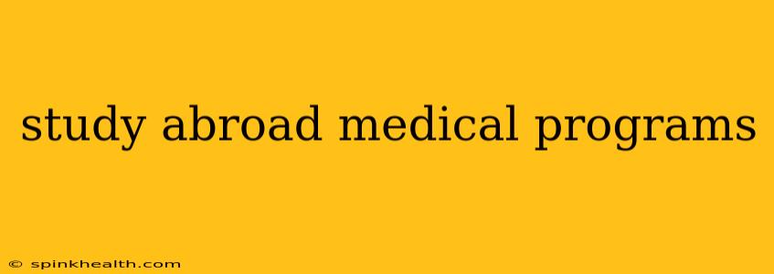 study abroad medical programs