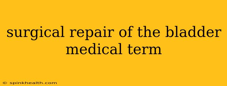 surgical repair of the bladder medical term