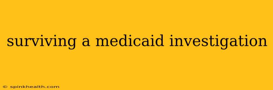 surviving a medicaid investigation