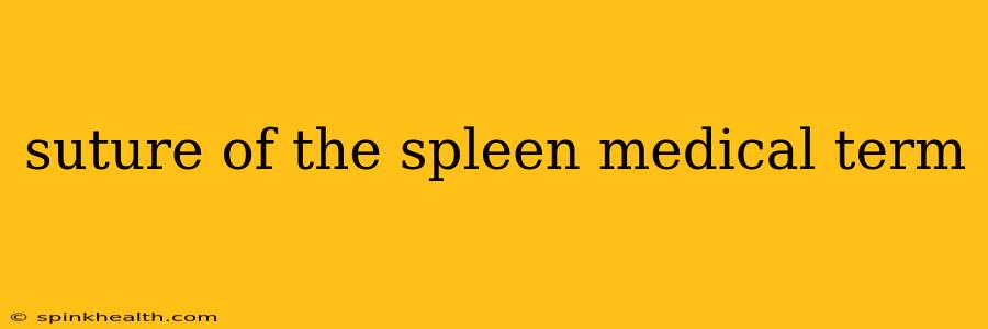suture of the spleen medical term