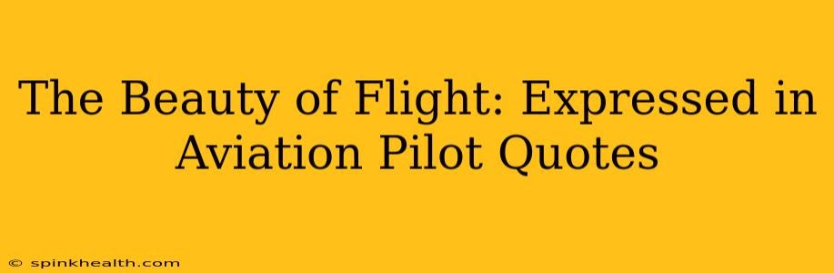 The Beauty of Flight: Expressed in Aviation Pilot Quotes