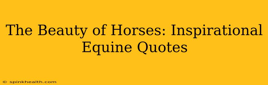 The Beauty of Horses: Inspirational Equine Quotes