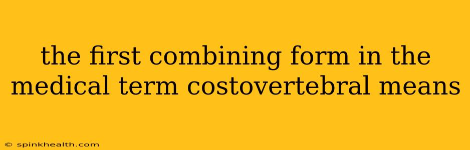 the first combining form in the medical term costovertebral means