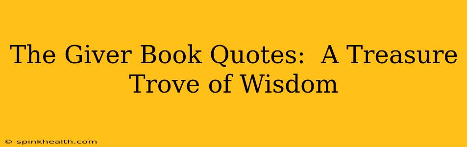 The Giver Book Quotes:  A Treasure Trove of Wisdom