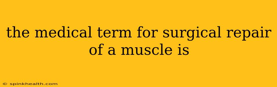 the medical term for surgical repair of a muscle is